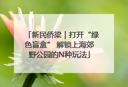 新民侨梁｜打开“绿色盲盒” 解锁上海郊野公园的N种玩法