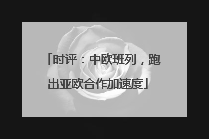 时评：中欧班列，跑出亚欧合作加速度
