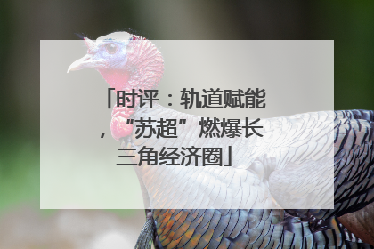 时评：轨道赋能，“苏超”燃爆长三角经济圈