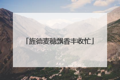 旌德麦穗飘香丰收忙