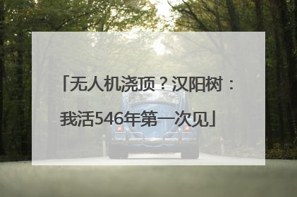 无人机浇顶？汉阳树：我活546年第一次见