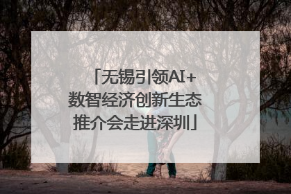 无锡引领AI+数智经济创新生态推介会走进深圳