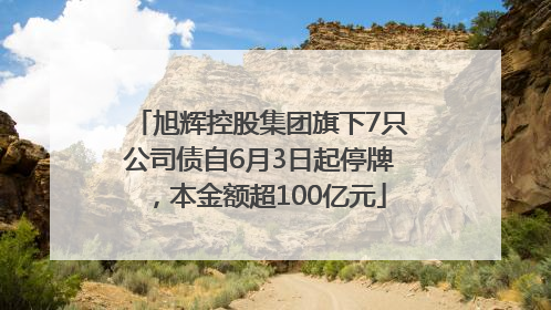 旭辉控股集团旗下7只公司债自6月3日起停牌，本金额超100亿元