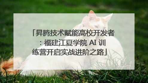 昇腾技术赋能高校开发者：福建江夏学院 AI 训练营开启实战进阶之路