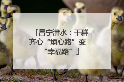 昌宁漭水：干群齐心“烦心路”变“幸福路”