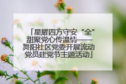 星耀四方守安“全” 甜聚党心传温情——舞阳社区党委开展流动党员建党节主题活动