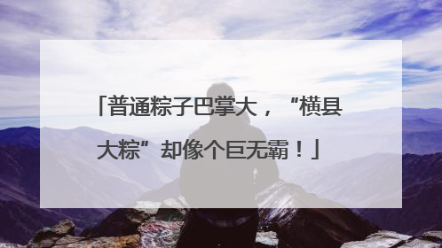 普通粽子巴掌大，“横县大粽”却像个巨无霸！