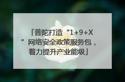普陀打造“1+9+X”网络安全政策服务包，着力提升产业能级