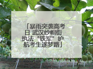 暴雨突袭高考日 武汉纱帽街执法“铁军”护航考生逐梦路