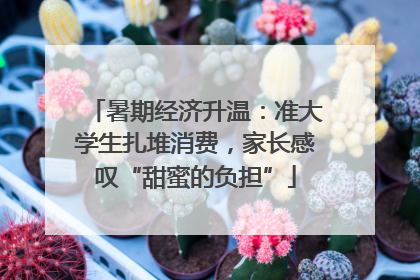 暑期经济升温：准大学生扎堆消费，家长感叹“甜蜜的负担”