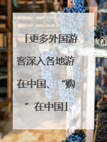更多外国游客深入各地游在中国、“购”在中国