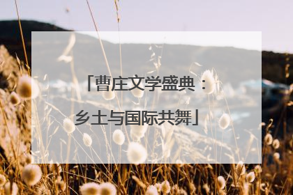 曹庄文学盛典：乡土与国际共舞