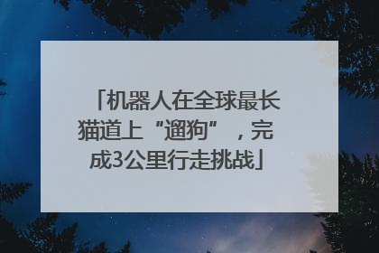 机器人在全球最长猫道上“遛狗”，完成3公里行走挑战