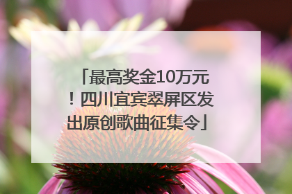 最高奖金10万元！四川宜宾翠屏区发出原创歌曲征集令