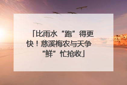 比雨水“跑”得更快！慈溪梅农与天争“鲜”忙抢收