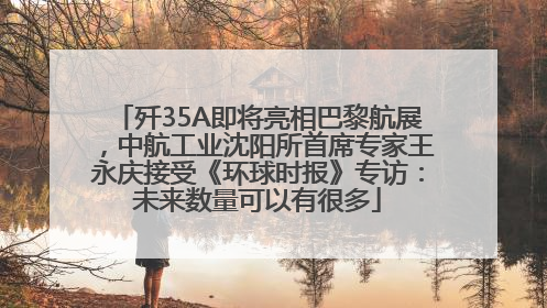 歼35A即将亮相巴黎航展，中航工业沈阳所首席专家王永庆接受《环球时报》专访：未来数量可以有很多