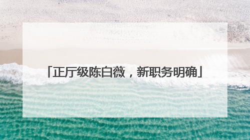 正厅级陈白薇，新职务明确