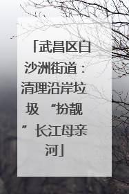 武昌区白沙洲街道：清理沿岸垃圾 “扮靓”长江母亲河