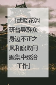 武晓花调研督导群众身边不正之风和腐败问题集中整治工作