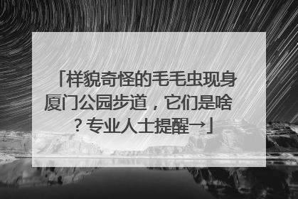 样貌奇怪的毛毛虫现身厦门公园步道，它们是啥？专业人士提醒→