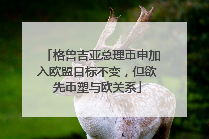 格鲁吉亚总理重申加入欧盟目标不变，但欲先重塑与欧关系