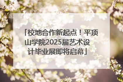 校地合作新起点！平顶山学院2025届艺术设计毕业展即将启幕