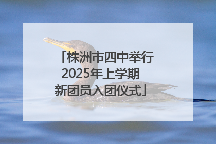 株洲市四中举行2025年上学期新团员入团仪式
