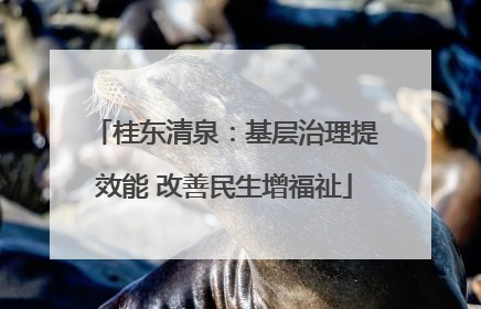 桂东清泉：基层治理提效能 改善民生增福祉