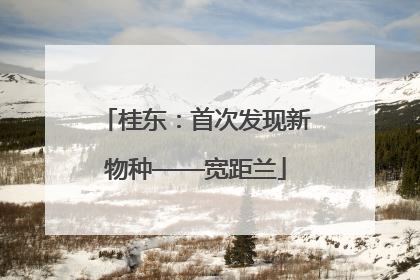 桂东：首次发现新物种——宽距兰