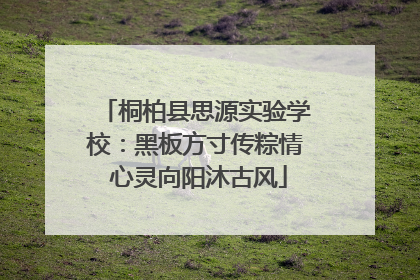 桐柏县思源实验学校：黑板方寸传粽情 心灵向阳沐古风