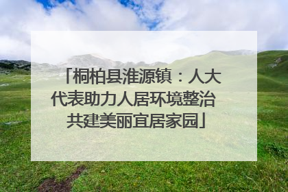 桐柏县淮源镇：人大代表助力人居环境整治 共建美丽宜居家园