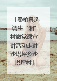 桑植县选调生“湘”村微党课宣讲活动走进沙塔坪乡沙塔坪村