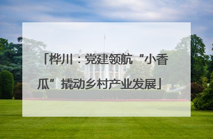 桦川：党建领航“小香瓜”撬动乡村产业发展