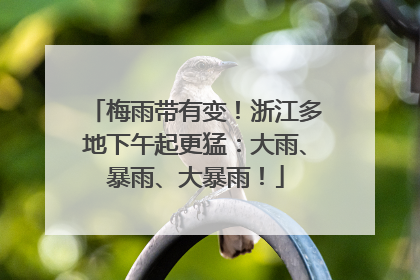 梅雨带有变！浙江多地下午起更猛：大雨、暴雨、大暴雨！