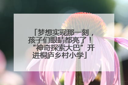 梦想实现那一刻，孩子们眼睛都亮了！“神奇探索大巴”开进桐庐乡村小学