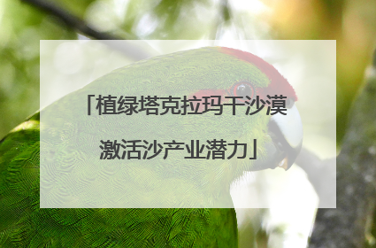 植绿塔克拉玛干沙漠 激活沙产业潜力