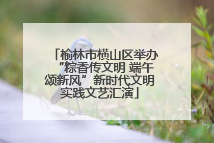 榆林市横山区举办“粽香传文明 端午颂新风”新时代文明实践文艺汇演