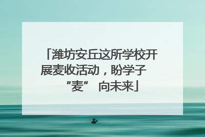 潍坊安丘这所学校开展麦收活动，盼学子 “麦” 向未来