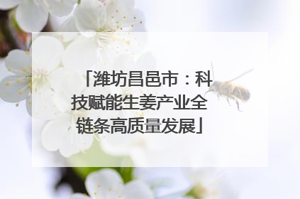 潍坊昌邑市：科技赋能生姜产业全链条高质量发展
