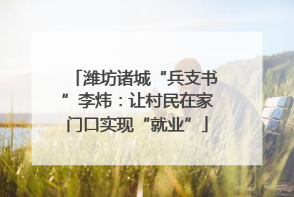 潍坊诸城“兵支书”李炜：让村民在家门口实现“就业”
