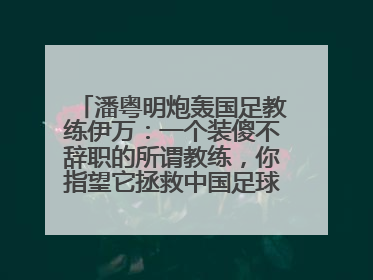 潘粤明炮轰国足教练伊万：一个装傻不辞职的所谓教练，你指望它拯救中国足球！此前曾多次发文评价国足
