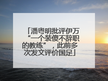 潘粤明批评伊万“一个装傻不辞职的教练”，此前多次发文评价国足