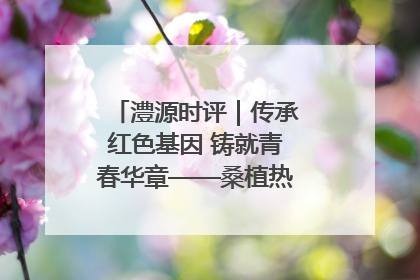 澧源时评｜传承红色基因 铸就青春华章——桑植热土上的青春长征