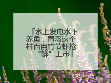 水上发电水下养鱼，青岛这个村百亩竹节虾抢“鲜”上市