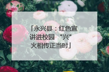永兴县：红色宣讲进校园 “兴”火相传正当时
