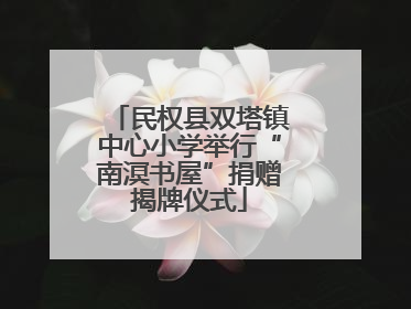 民权县双塔镇中心小学举行“南溟书屋”捐赠揭牌仪式
