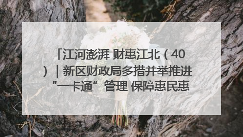 江河澎湃 财惠江北（40）｜新区财政局多措并举推进“一卡通”管理 保障惠民惠农补贴精准高效发放