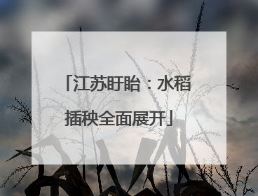 江苏盱眙：水稻插秧全面展开