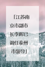 江苏南京市副市长李晖已调任泰州市领导
