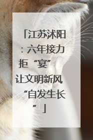 江苏沭阳：六年接力拒“宴” 让文明新风“自发生长”